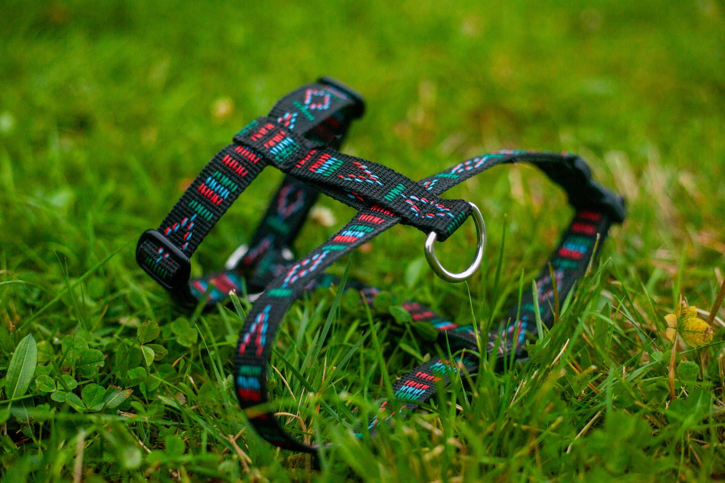 Linka mini tursele