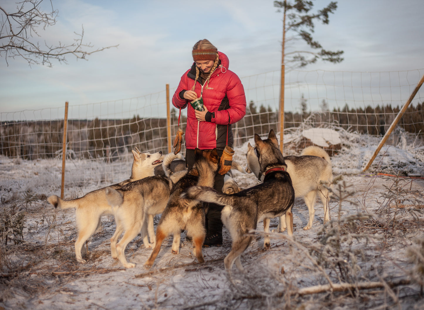 Kennel besøk