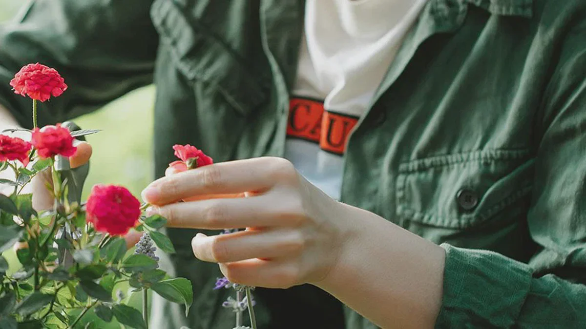 Har du ikke beskåret rosene dine ennå? Slik redder du sommerens blomstring i juni